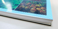 Blue poly translucent book covers with stripe