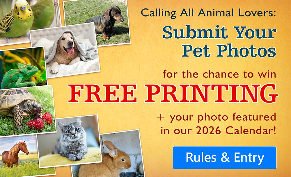 Pet Photo Contest 2025