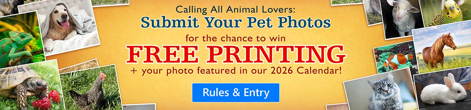 Pet Photo Contest 2025