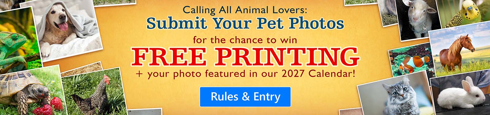 Pet Photo Contest 2026