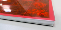Red poly translucent book covers with stripe