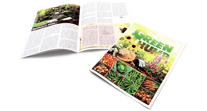 Booklet Newsletter