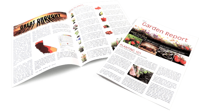 Half Fold Newsletter