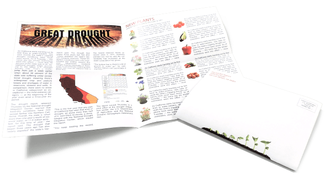 Right Angle Half Fold Newsletter