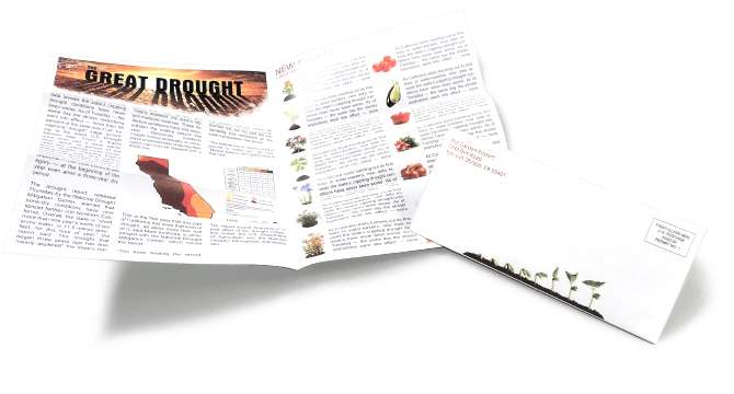 Right Angle Letter Fold Newsletter