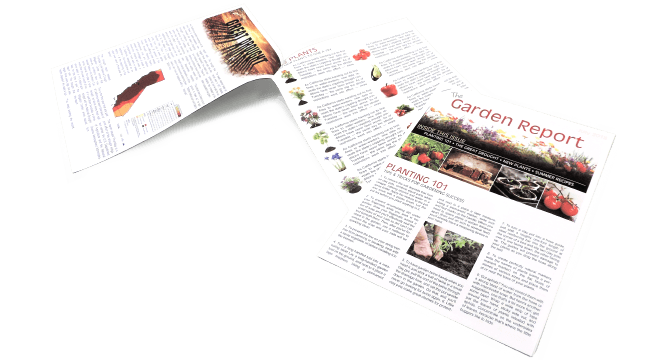 Corner Stapled Newsletter