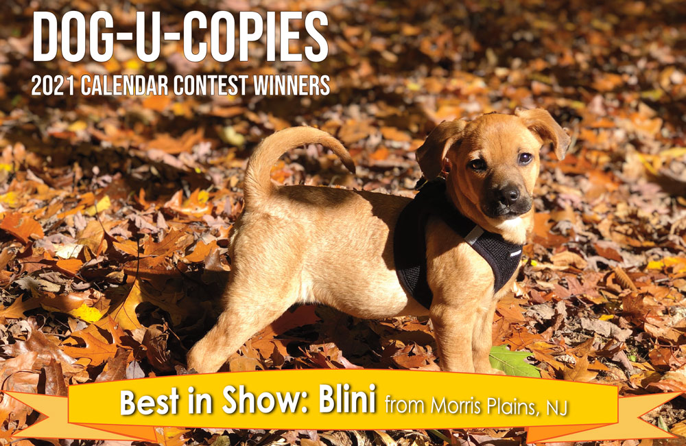 dog-u-copies-2021-calendar-winners-announced