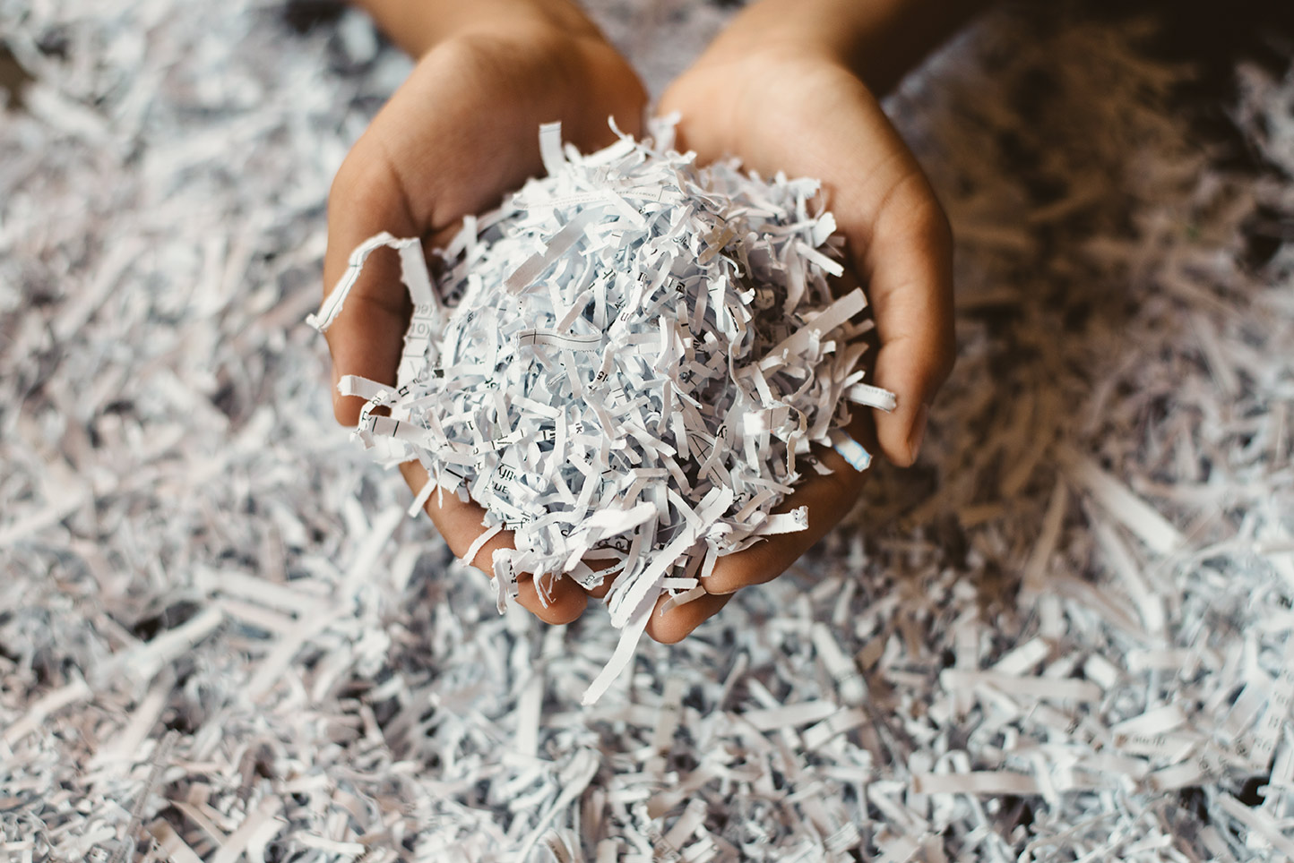 Shredded printer paper ready for recycling.