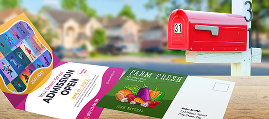 Half-Fold Self Mailers