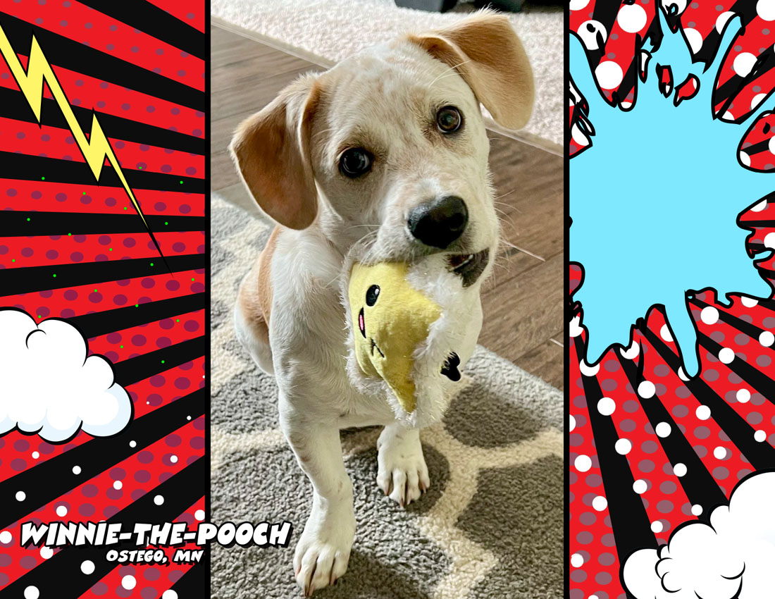 Calendar-contest-winner-July