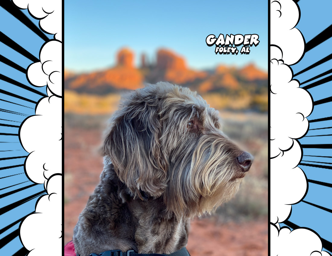 Calendar-contest-winner-January