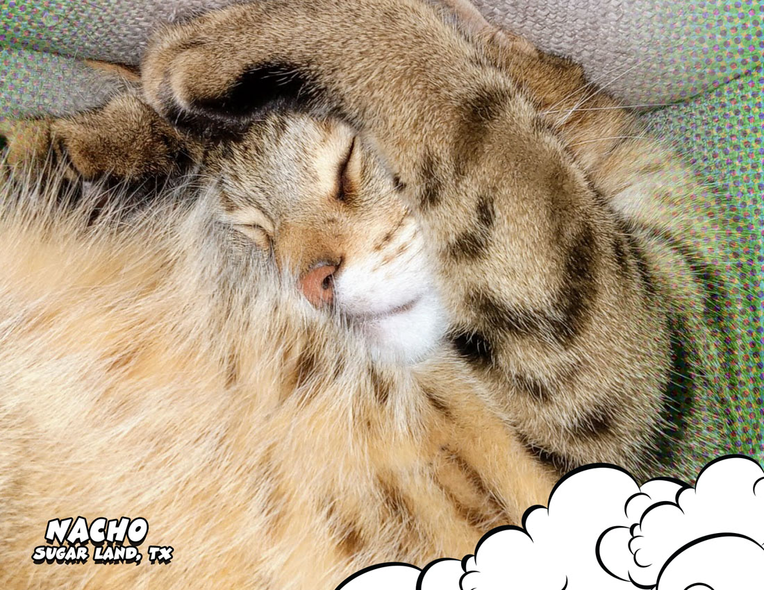 Calendar-contest-winner-March