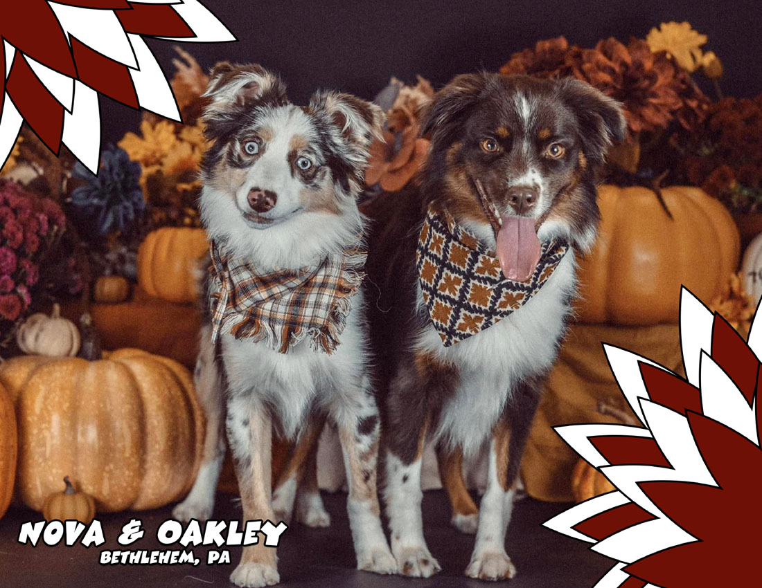 Calendar-contest-winner-November