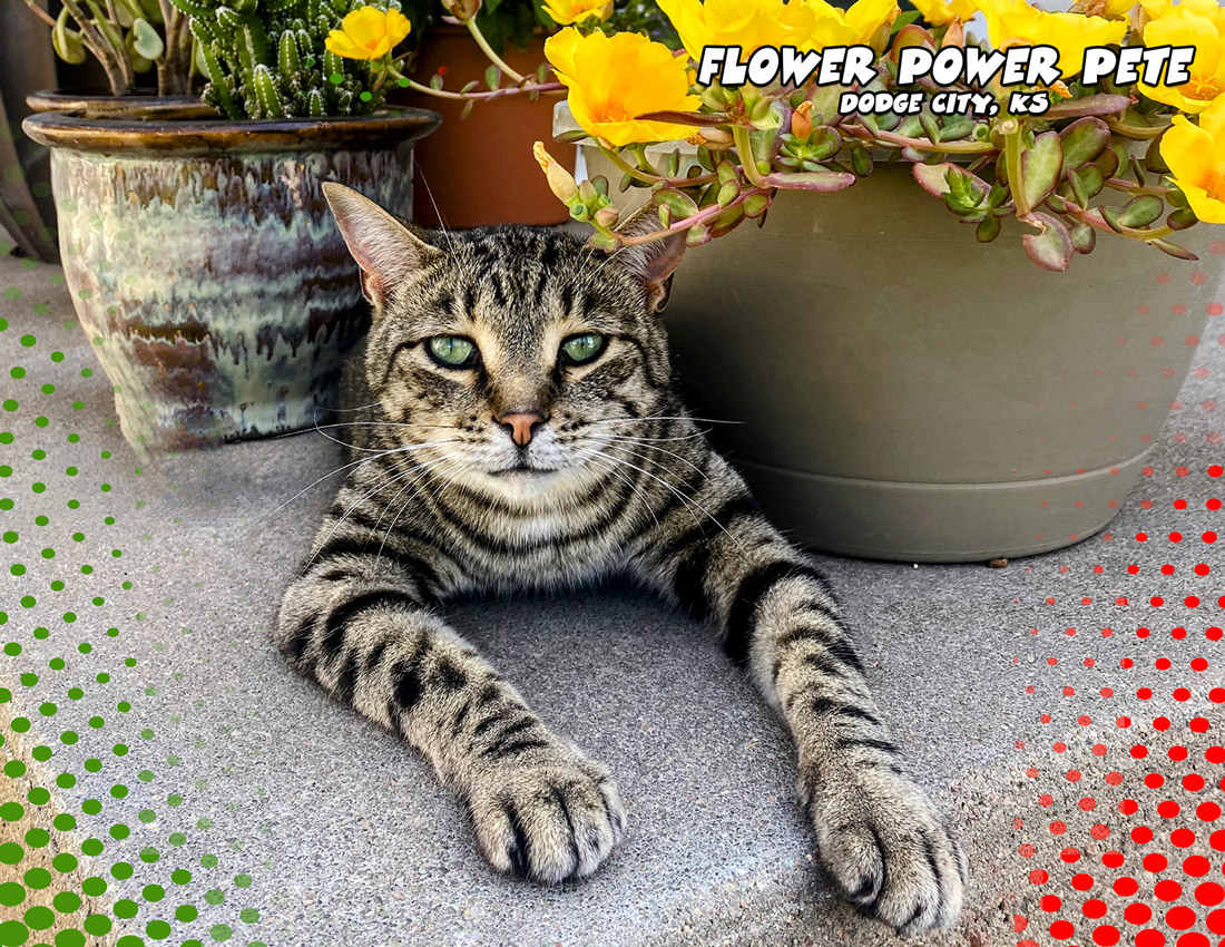 Calendar-contest-winner-December