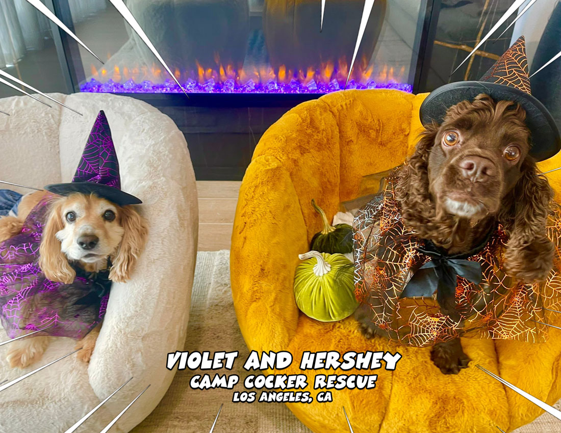 Calendar-contest-winner-October