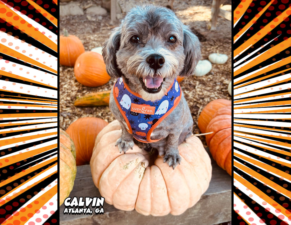 Calendar-contest-winner-September