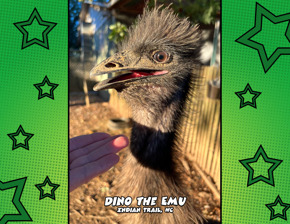 Calendar-contest-winner-August