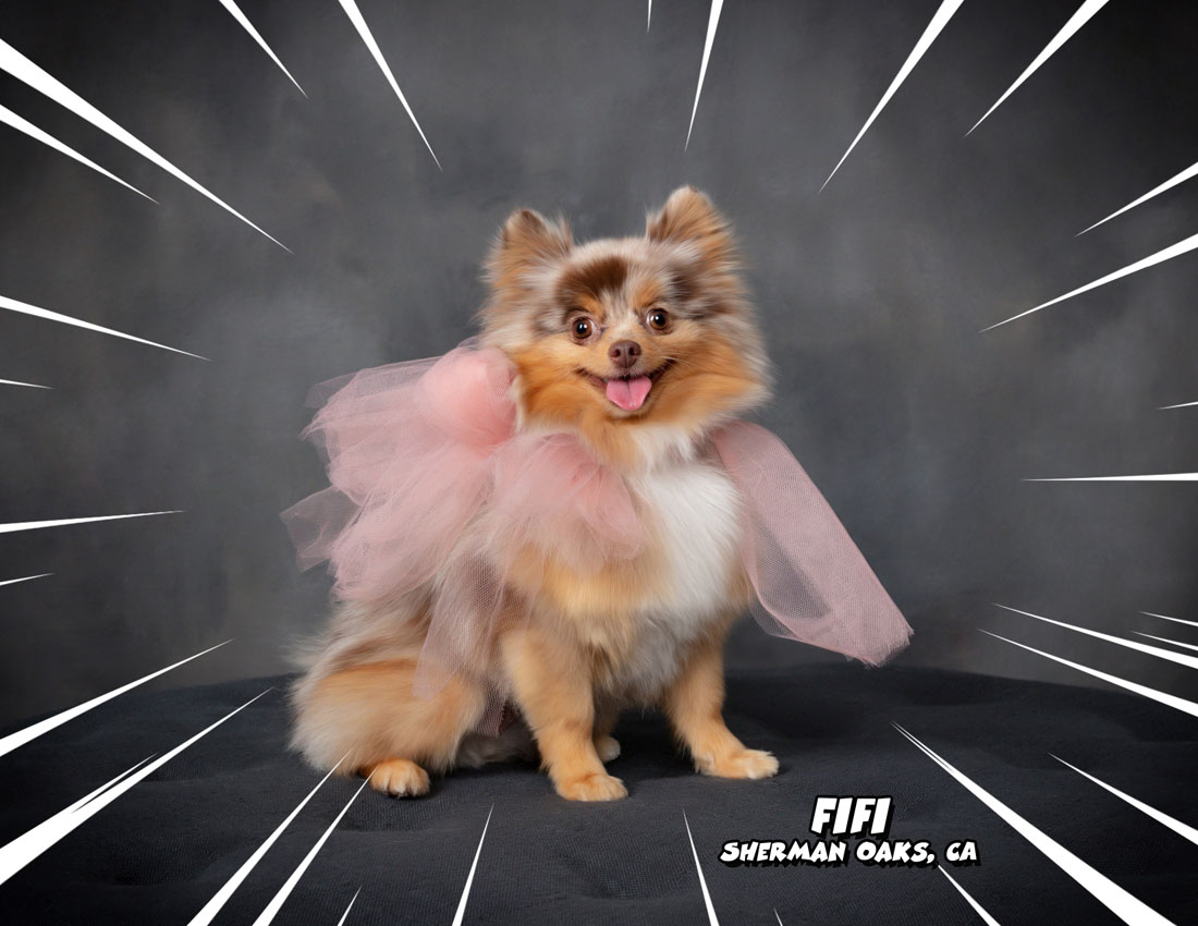Calendar-contest-winner-February