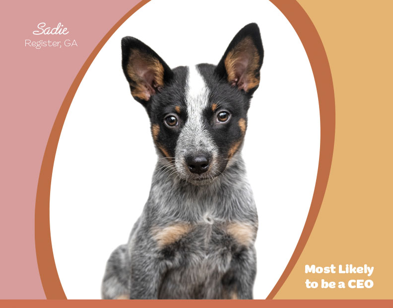 Calendar-contest-winner-September