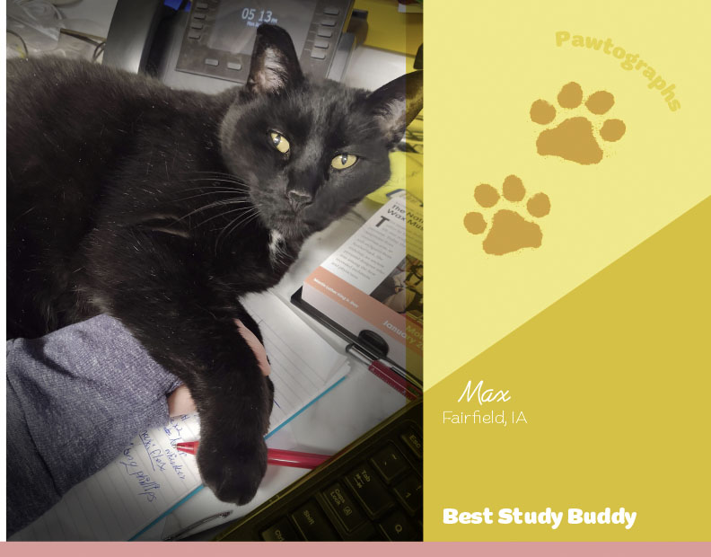 Calendar-contest-winner-July