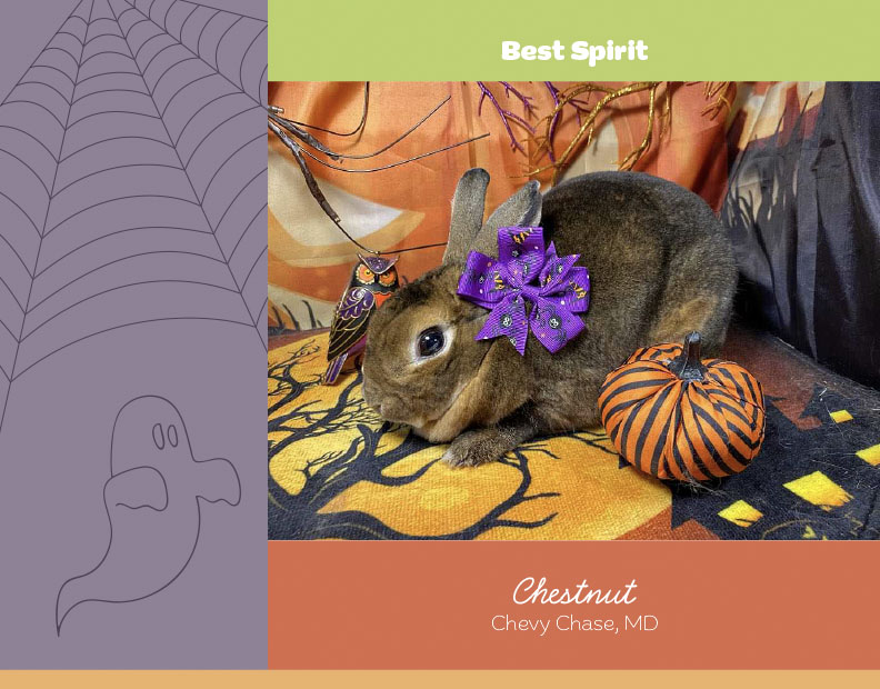 Calendar-contest-winner-November