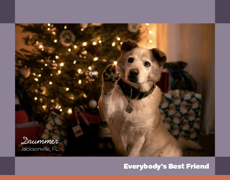 Calendar-contest-winner-December