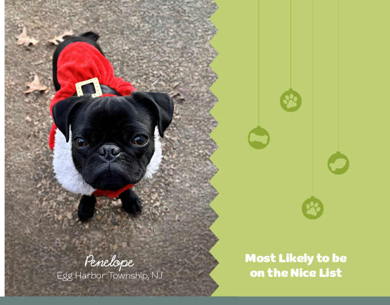 Calendar-contest-winner-March