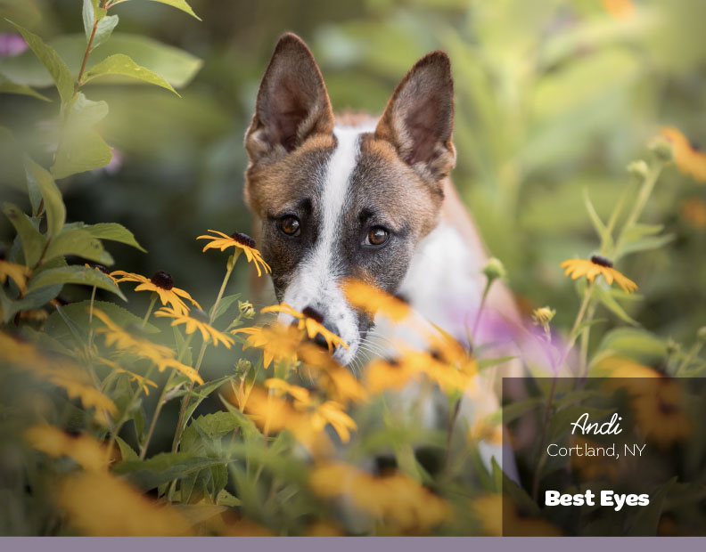 Calendar-contest-winner-June