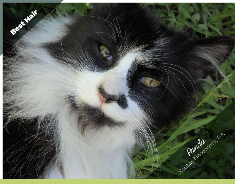 Calendar-contest-winner-January