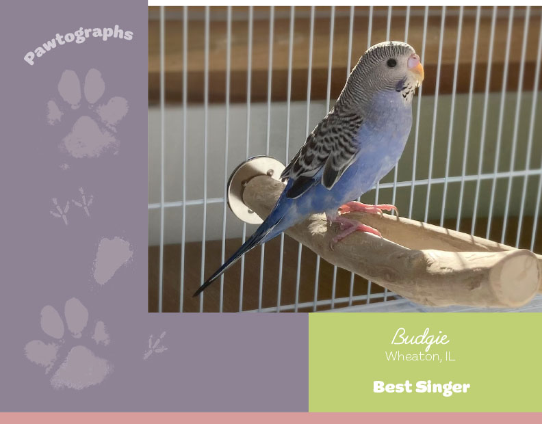 Calendar-contest-winner-April