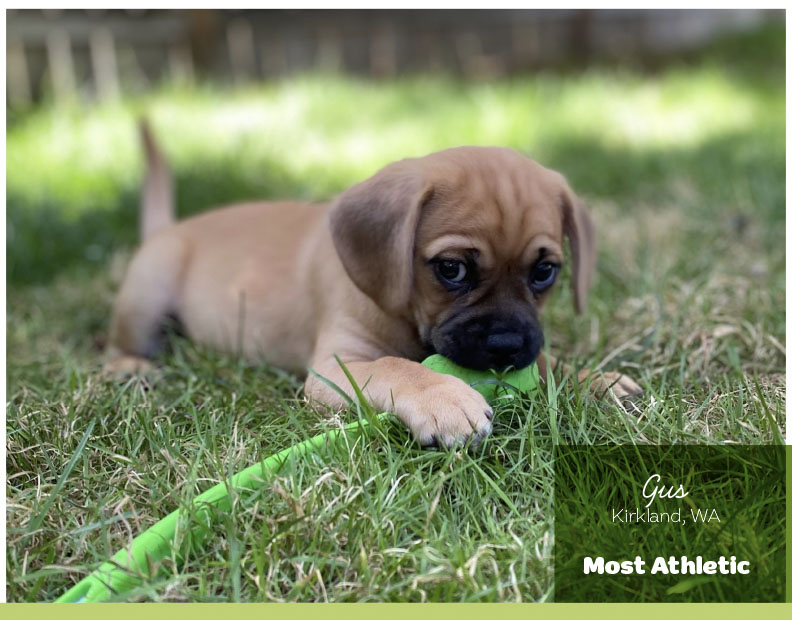 Calendar-contest-winner-October