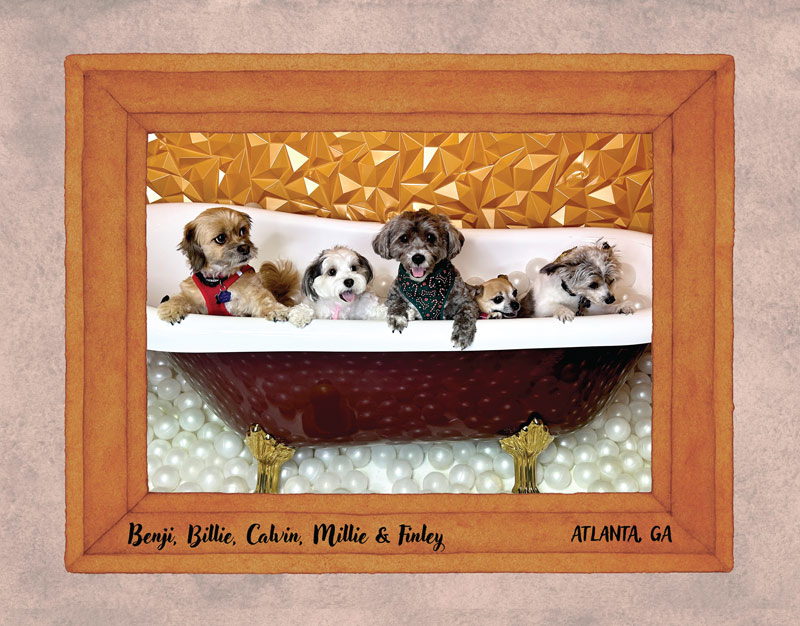 Calendar-contest-winner-January