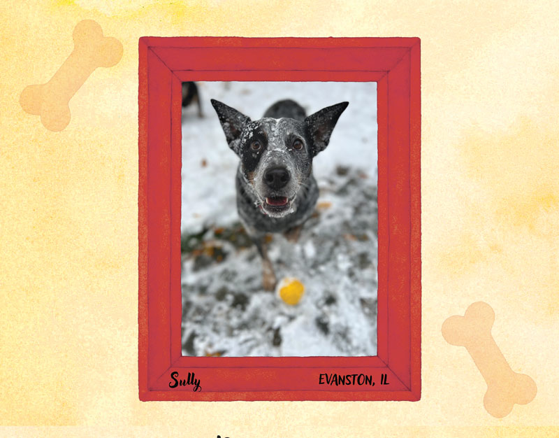 Calendar-contest-winner-December