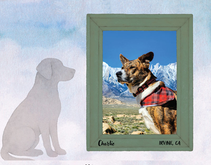 Calendar-contest-winner-March