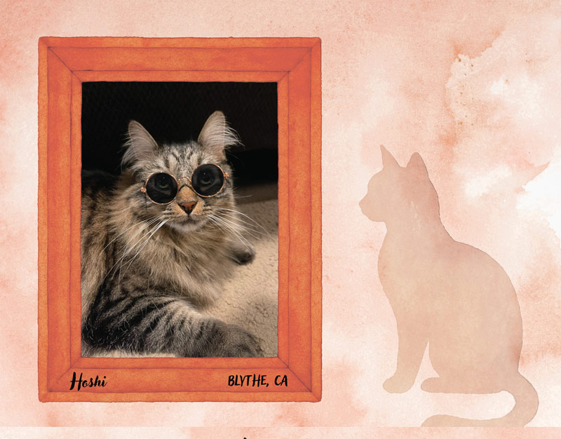 Calendar-contest-winner-April