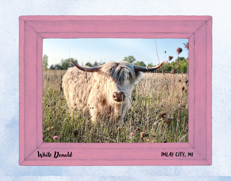 Calendar-contest-winner-June