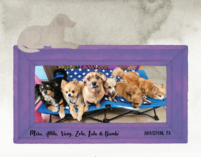 Calendar-contest-winner-July