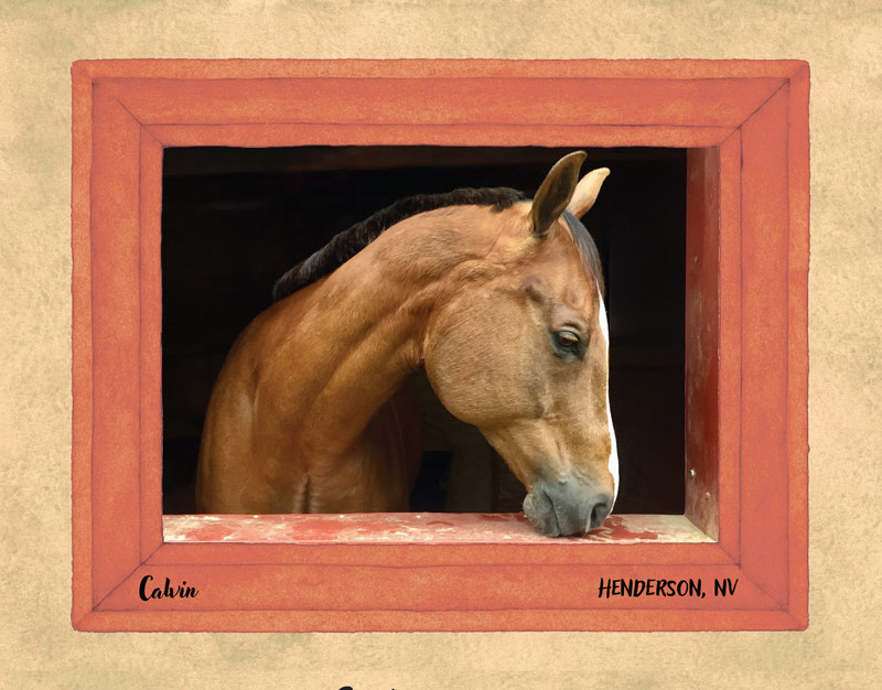 Calendar-contest-winner-September