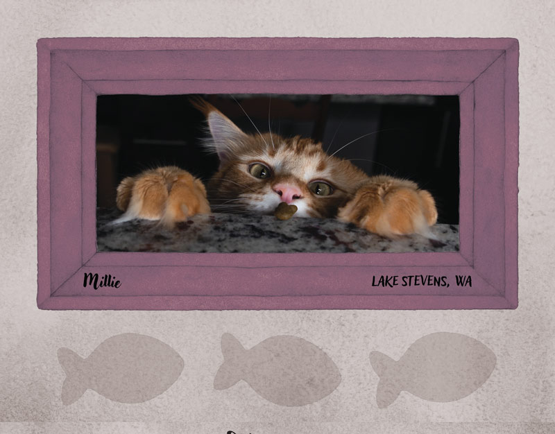 Calendar-contest-winner-October