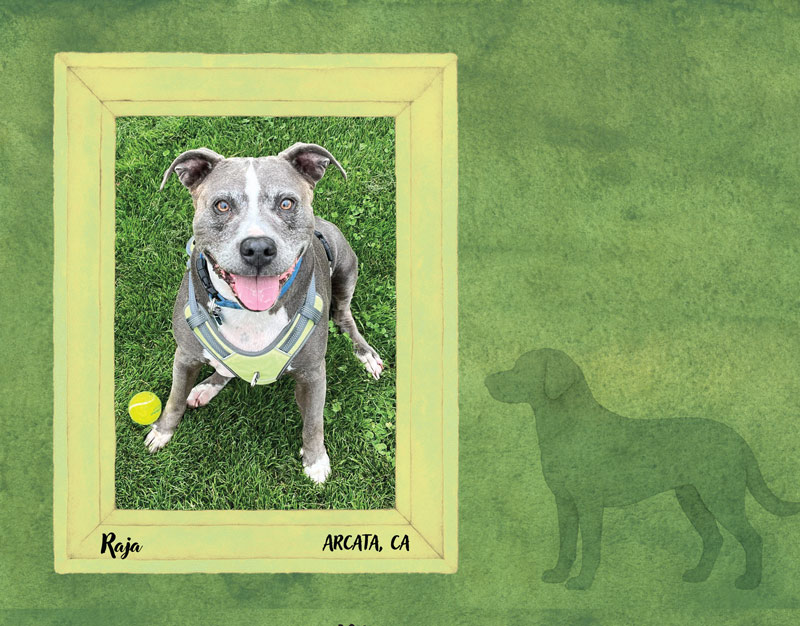 Calendar-contest-winner-May