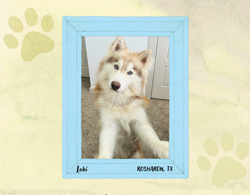 Calendar-contest-winner-August