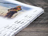Binder tabs with printing on the body of the sheet thumbnail