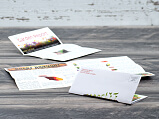Right Angle Letter Fold Newsletter Mailing Panel Thumbnail