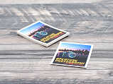 Window Clings Thumbnail